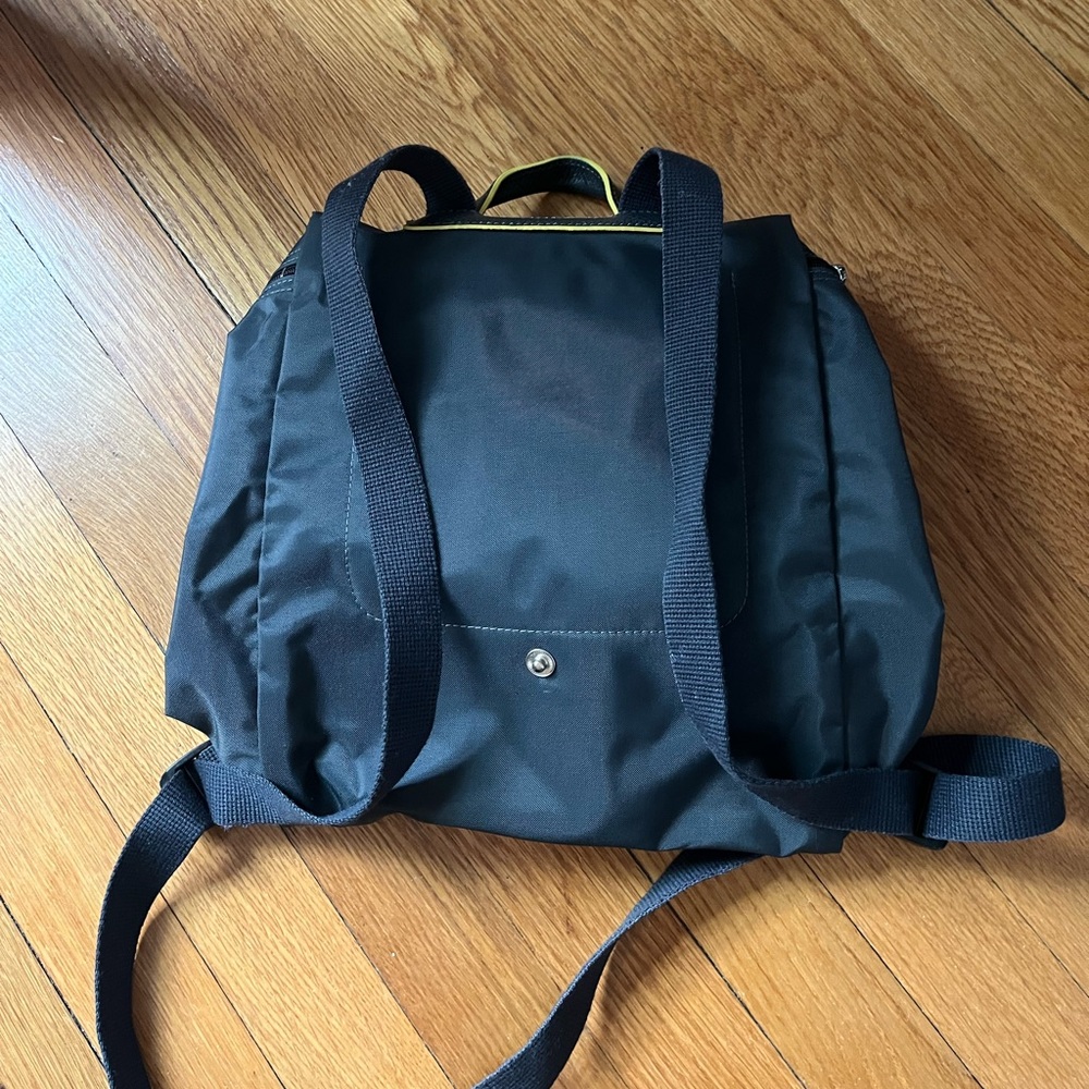 Longchamp Le Pliage Backpack Gray - image 2